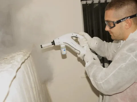 Уничтожение тараканов в квартире Москва — Возвращаем уют в ваш дом